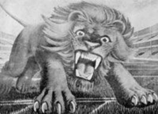 Lion2